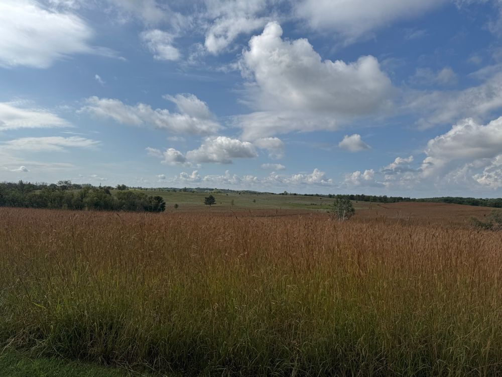 Restored prairie on bluffs over St Croix River