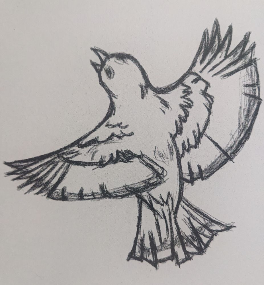 A sketch of a bird.