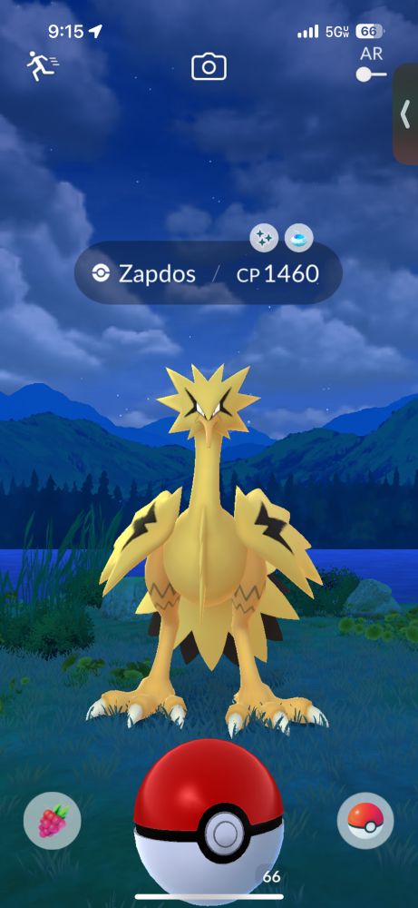 A screenshot of Pokemon Go. I'm trying to catch a wild, shiny Zapdos.