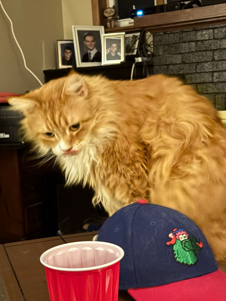 Ike on the table with my Fanatic hat