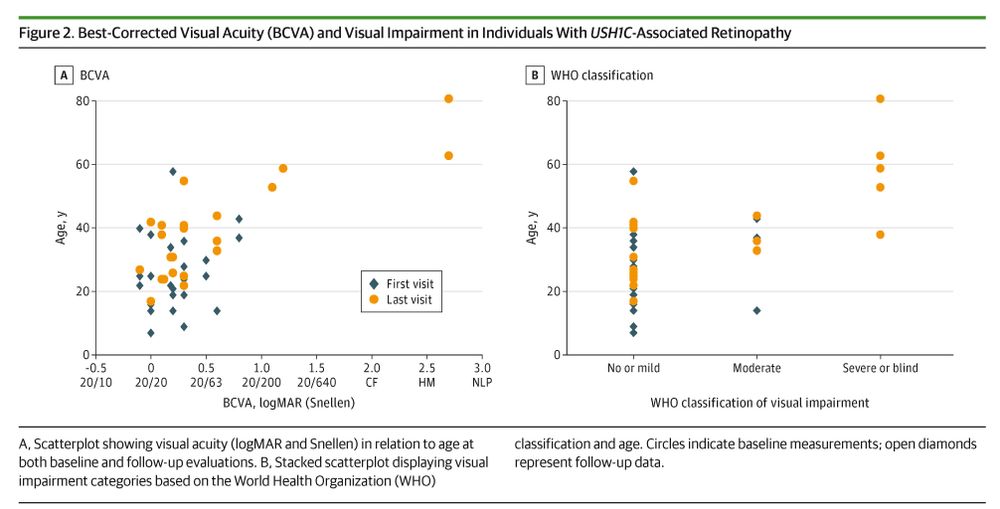 Two scatter plots display visual acuity & impairment in individuals with USHIC-Associated Retinopathy. Plot A shows visual acuity (logMAR & Snellen) vs. age. Plot B shows WHO classification of visual impairment vs. age. Diamonds mark first visits, circles last visits.