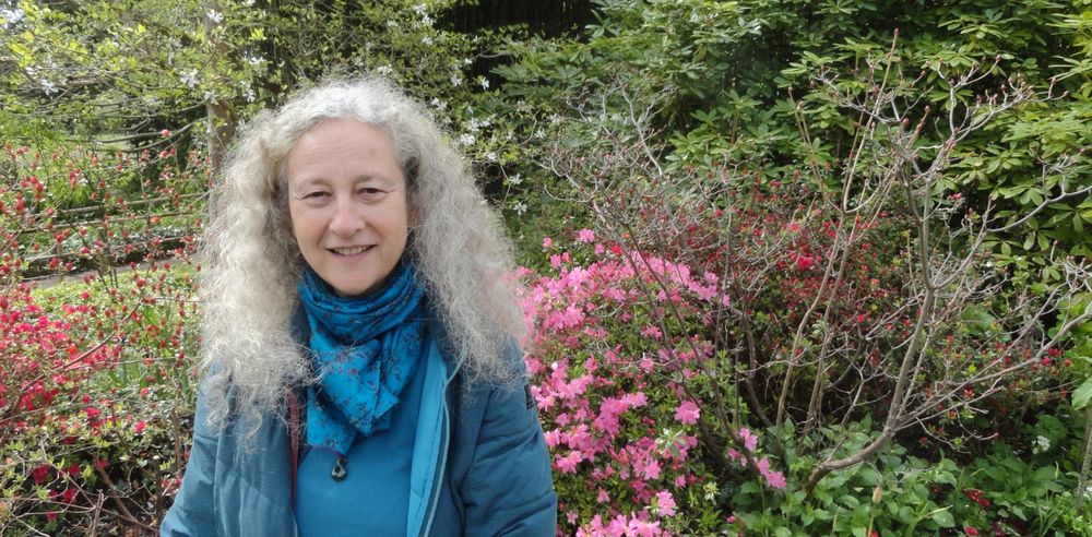Nora Berend, Professor of European History, University of Cambridge