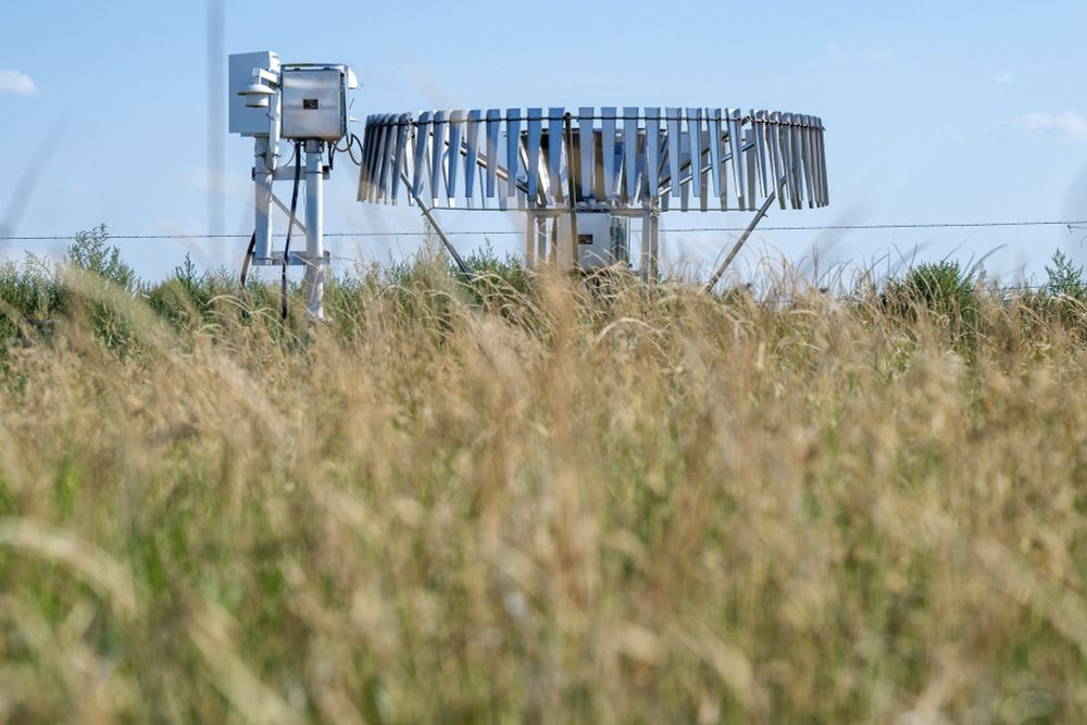 Wrecked rain gauges. Whistleblowers. Million-dollar payouts and manhunts. Then a Colorado crop fraud got really crazy.