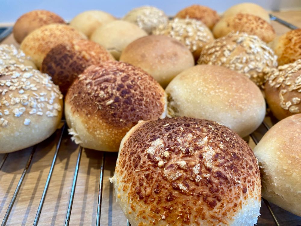 Frische, selbstgebackene Brötchen auf einem Rost zum Abkühlen 