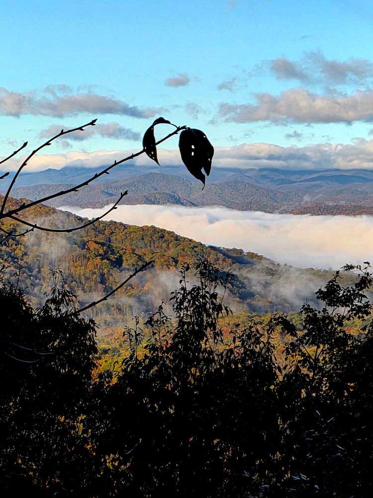 Two leaves clinging to a branch. A layer of clouds between the mountains under a pale blue sky.