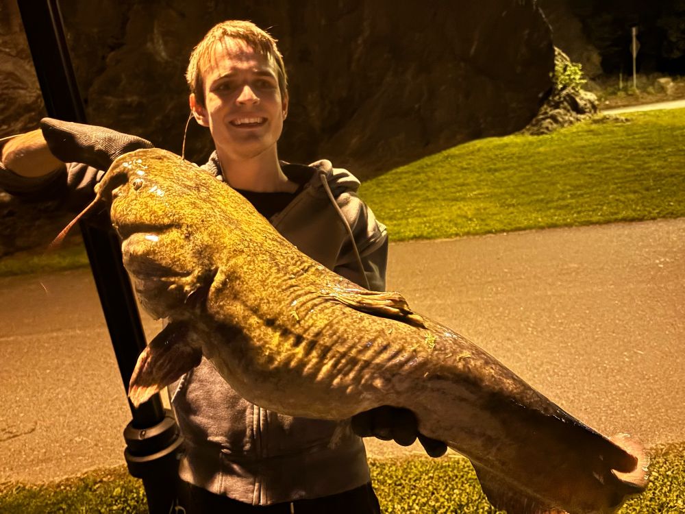 Man holding large Flathead Catfish caught at night