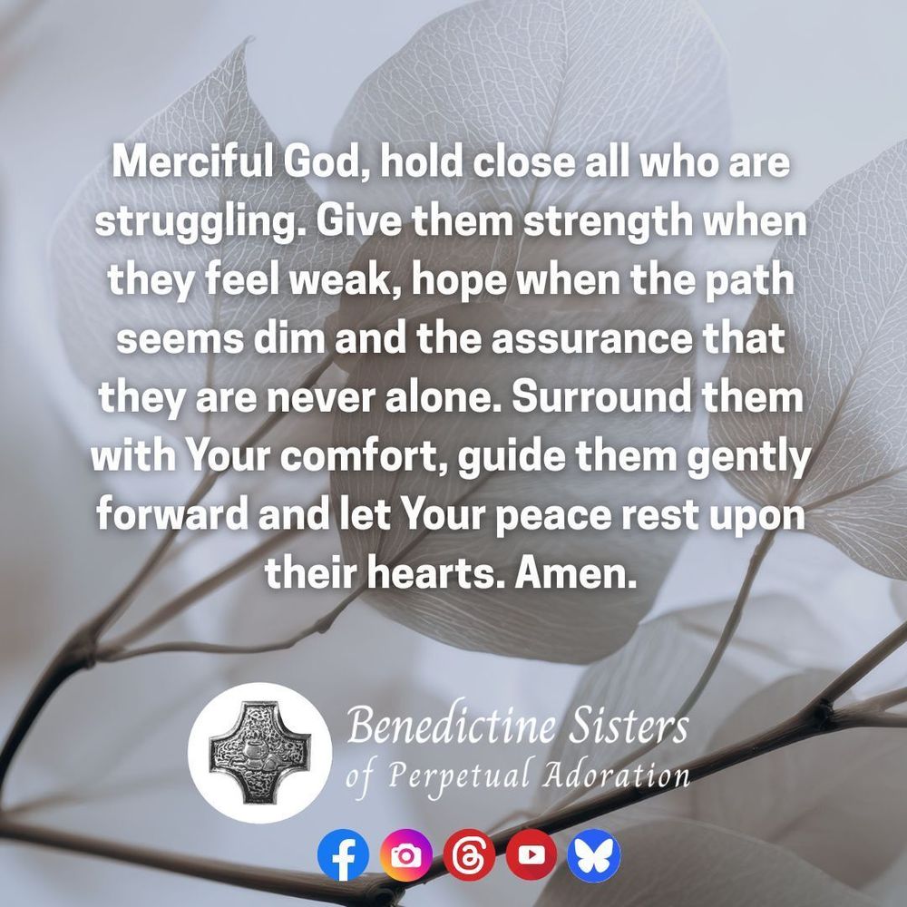 [PIC] Close up of a limb filled with delicate white leaves  [TEXT] Merciful God, hold close all who are struggling. Give them strength when they feel weak, hope when the path seems dim and the assurance that they are never alone. Surround them with Your comfort, guide them gently forward and let Your peace rest upon their hearts. Amen.