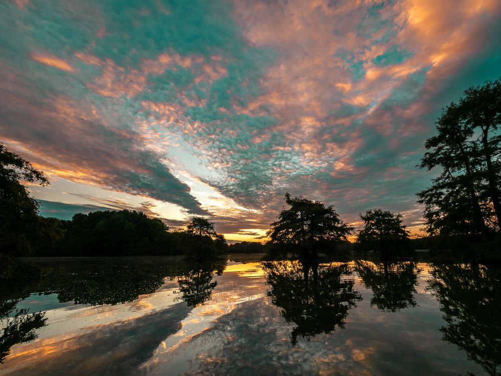 A dramatic sky bursts with color at sunrise, casting hues of orange, pink, and teal across a wide expanse of rippling clouds. Below, calm swamp water mirrors the sky, broken by the silhouettes of bald cypress trees in the shallows. The scene is still and surreal.
