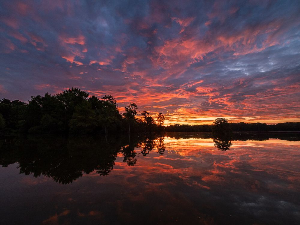 A fiery sunrise blazes across a cypress-lined lake, with vibrant hues of yellow, orange and violet streaking through dramatic clouds. The water below mirrors the intensity with clarity. Silhouetted trees frame the horizon.