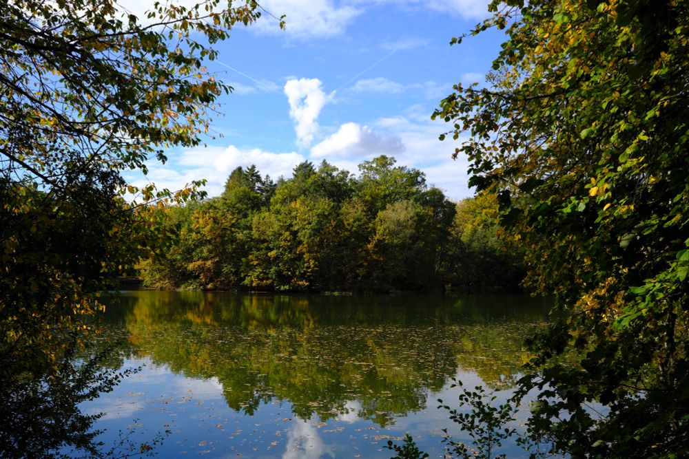 Island in a lake in autumn colors