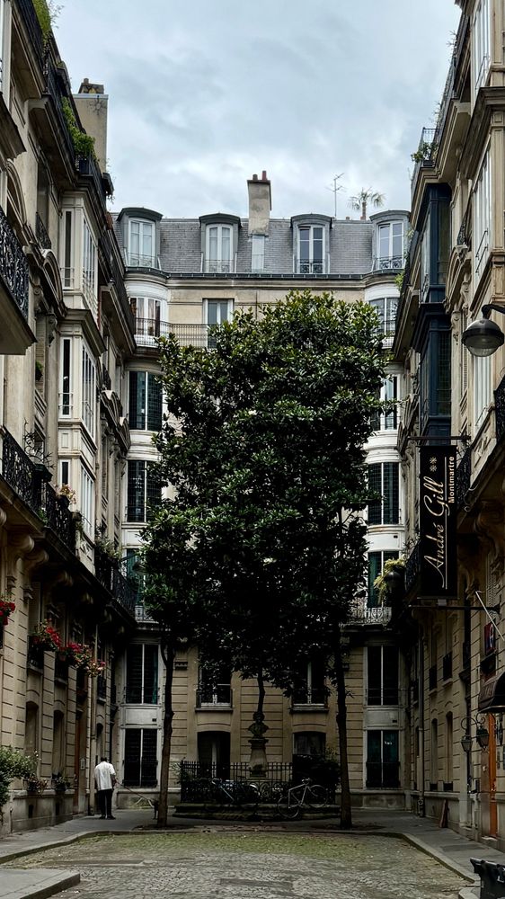 Tree in a Montmartre backyard. 