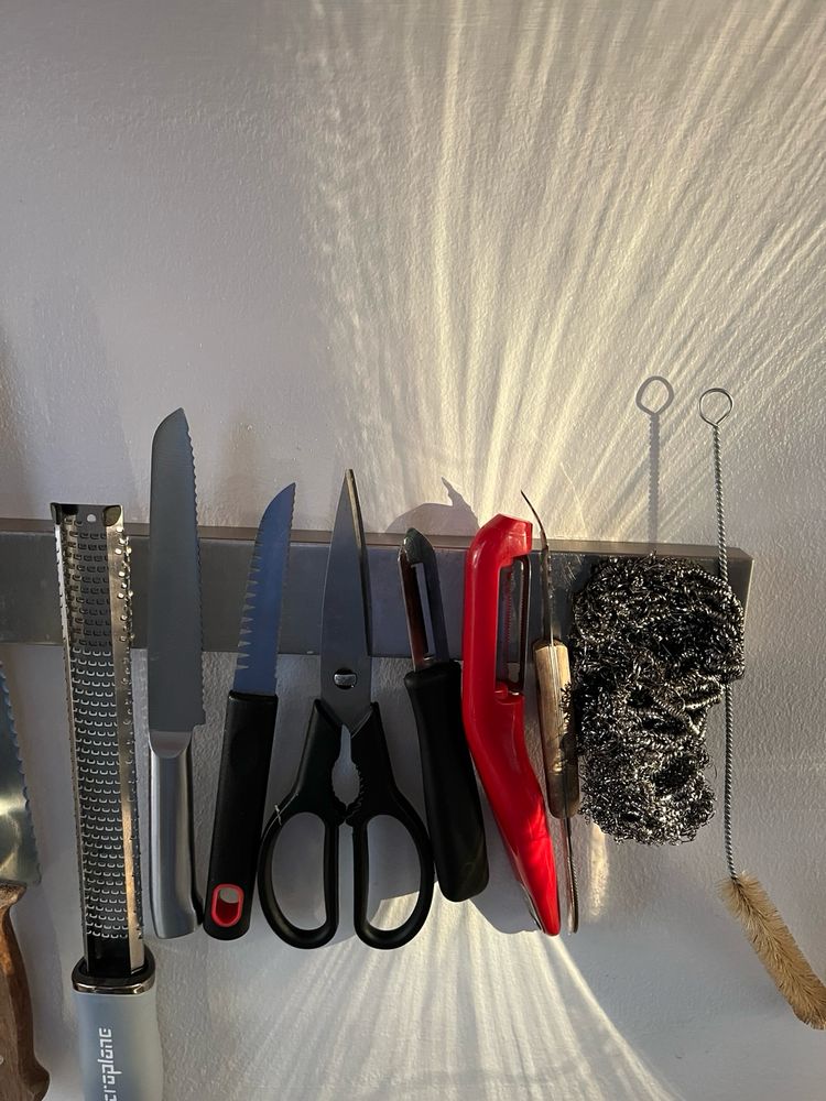 Vintermorgensol reflekteret i grydesvamp