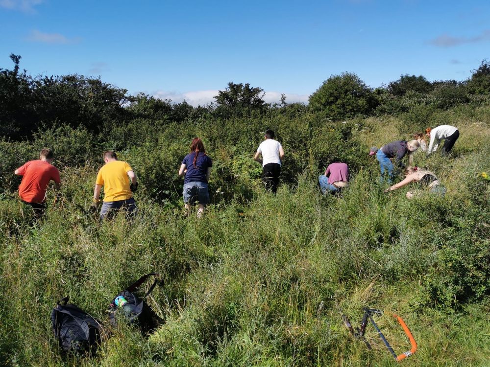 Group of young people wearing different coloured clothing working on a nature reserve under a clear bluesky. 