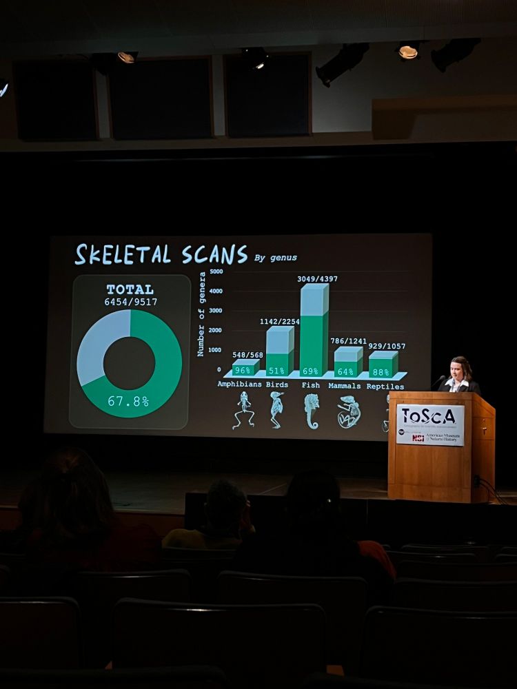 Jaimi Gray presenting on stage behind a podium at the American Museum of Natural History. The slide behind her details the number of genera the oVert project scanned. 