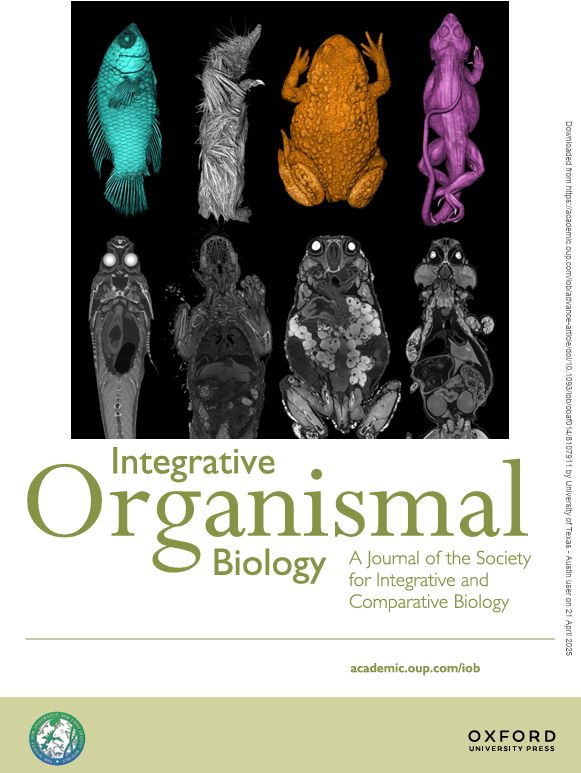 Cover image for Integrative Organismal Biology, showing cross sections through a fish, a tenrec, a frog, and a lizard at the bottom of the image, and a 3D rendering of each animal at the top of the image (colored in teal, grey, yellow, and pink, respectively)