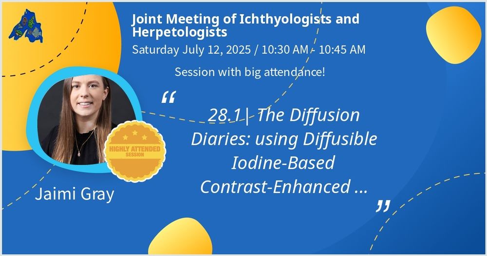 Display slide that reads "Joint meeting of Ichthyologists and Herpetologists

Saturday July 12, 2025 / 10.30am - 10.45

Session with big attendance

'28.1 | the Diffusion Diaries: using Diffusible Iodine-Based Contrast-Enhanced...'

Jaimi Gray" 