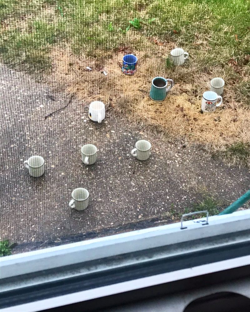 The view through my front window. There are ten mugs scattered on the gound outside.