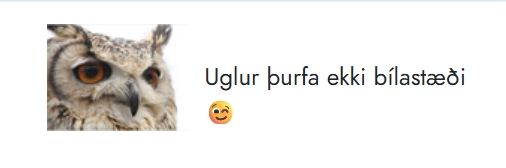 Skjáskot af skilaboðum uglunar í hí: uglur þurfa ekki bílastæði 😉[blikkkall]