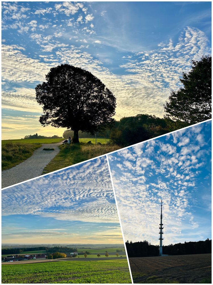 Bild mit Ausblick bei einer Radtour.