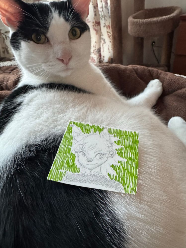 Photo of a hyena fursona drawn with pencil on a small piece of paper. The paper is placed on top of the user’s cat. The cat looks at the camera in a quizzical manner.