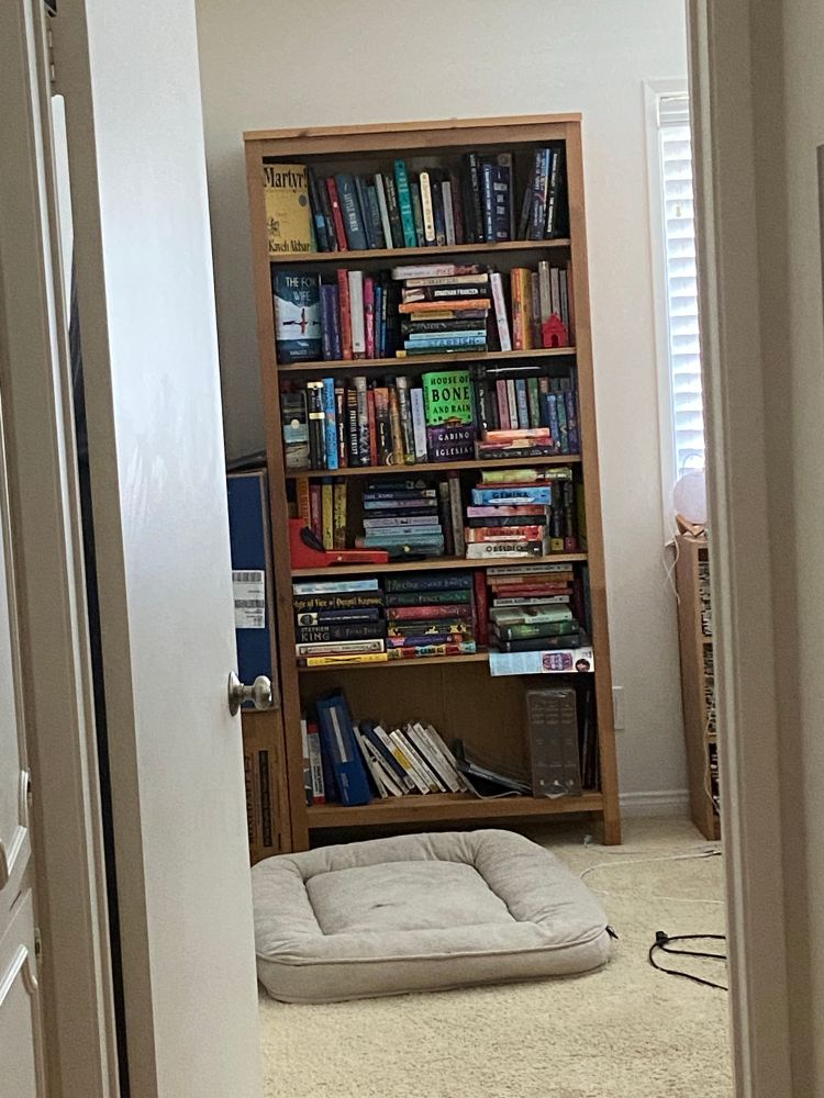 Picture of a filled bookshelf from another room. The author’s book, with a bright neon green and purple cover, is easy to see in the center of the bookshelf. 