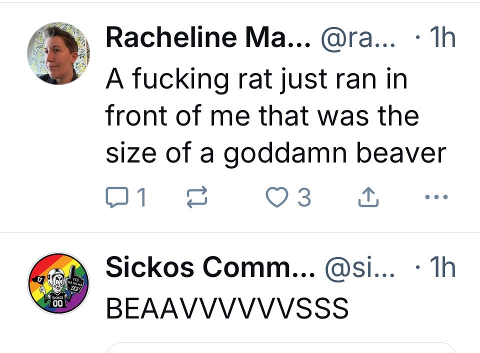 Two Bluesky posts in one screenshot of a feed. The first by Racheline Maltese says “a fucking rat just ran in front of me that was the size of a goddamn beaver.” The second is from Sickos Committee and simply says “BEAAVVVVVVSSS” in reaction to a baseball play from the Oregon State Beavers.