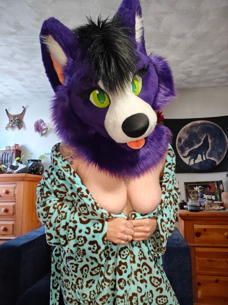 Me standing in my room, leaning towards the camera, wearing my purple and white canid fursuit head and a turquoise robe with brown Jaguar print, holding it closed beneath my breasts
