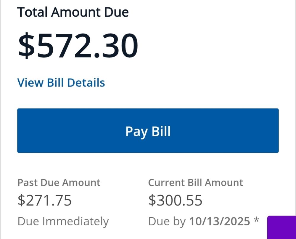My utility bill that's overdue. $271 is due immediately and $300 is due next month, making the total $572
