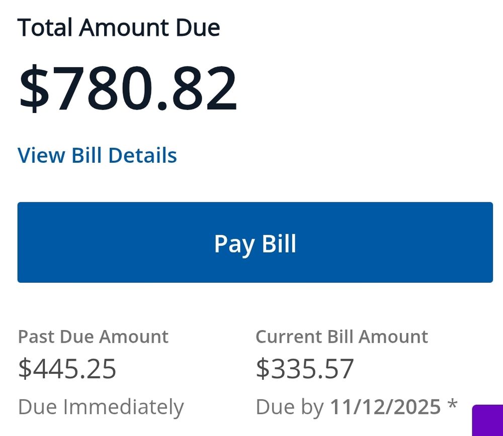 My utility bill of $780. A past due balance of $445 and a new balance of $335