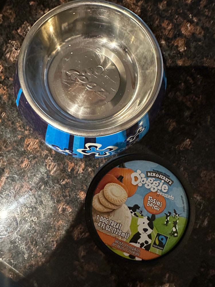 A dog bowl and a cup of Ben & Jerry’s Doggie Desserts in a flavor called Rosie’s Batch, with pumpkin and mini cookies 