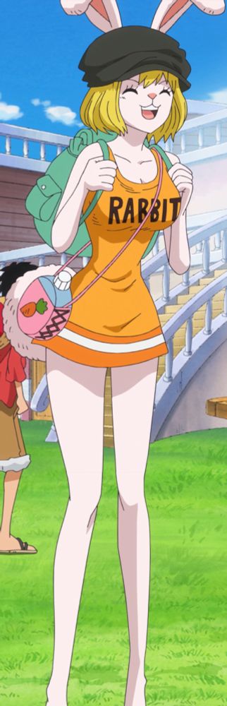 Carrot from One Piece
