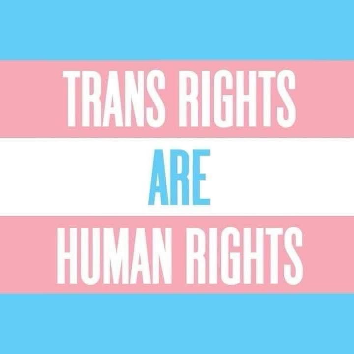 Transgender flag with the words trans rights are human rights. Flsg is hotizontay pink, white, pink and light blue. 