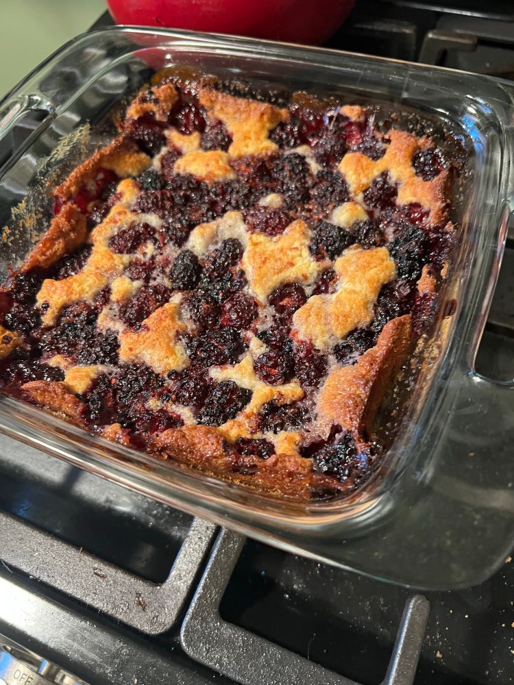Blackberry cobbler in a glass baking dish