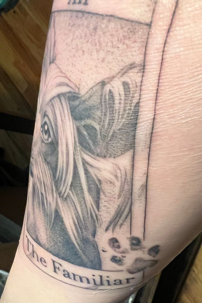 Forearm tattoo of a dog in a tarot card frame with the number 12 in Roman numerals on the top and the words “The Familiar” on the bottom with a paw print on the lower left side. 