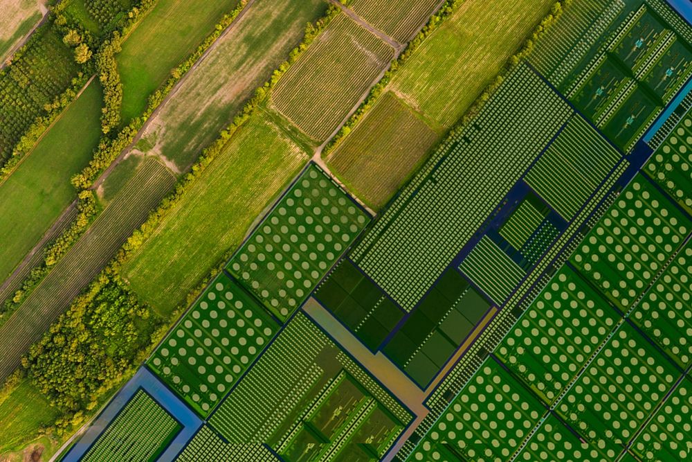 Digital collage of circuit board and aerial shot of farmland.