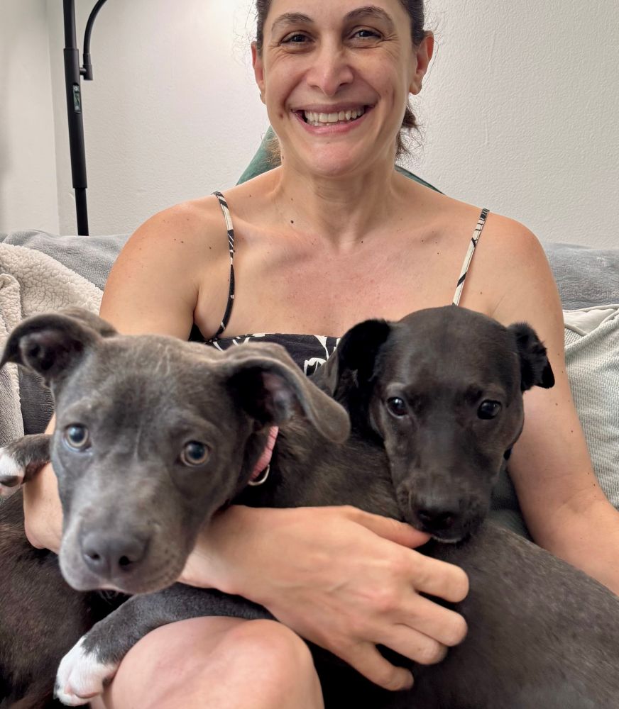Pie’s new forever human smiles as she embraces her two pups, grey and basically twins.