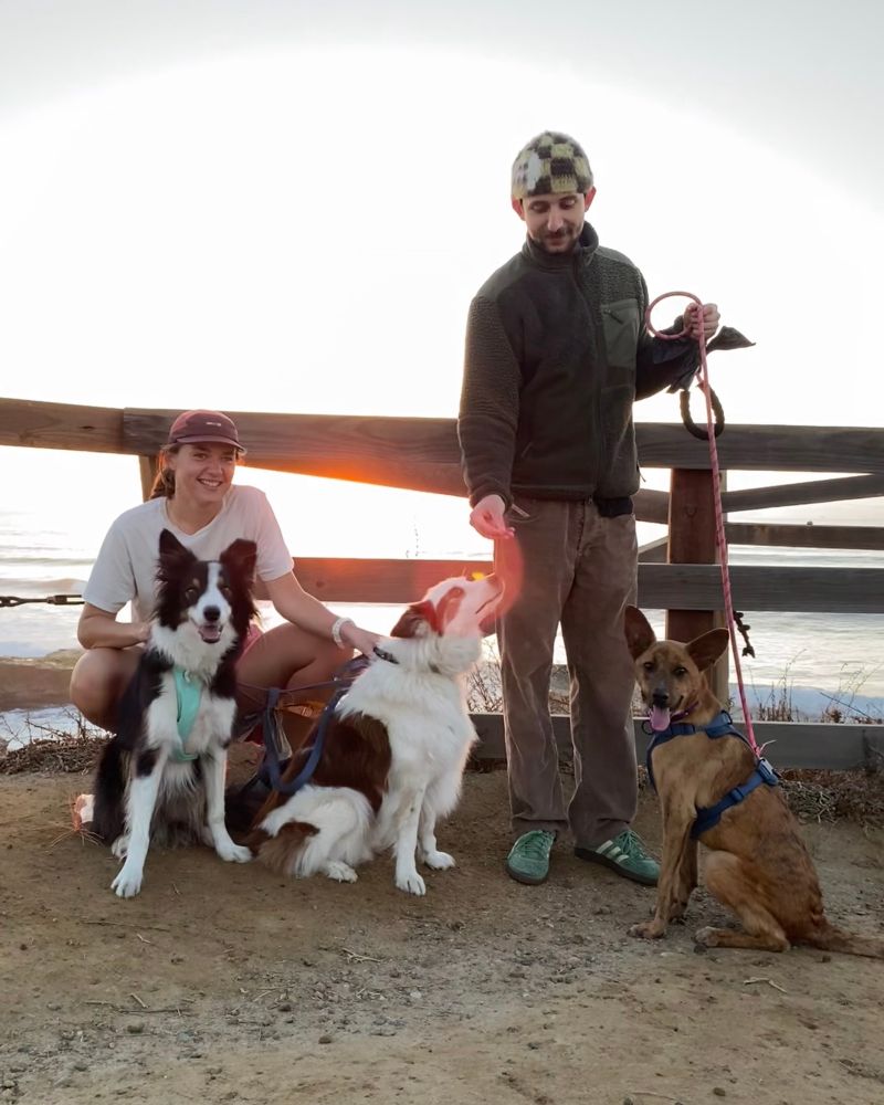 The brown pup looks joyful with his new forever human and two doggy cousins, Finn and Bo.