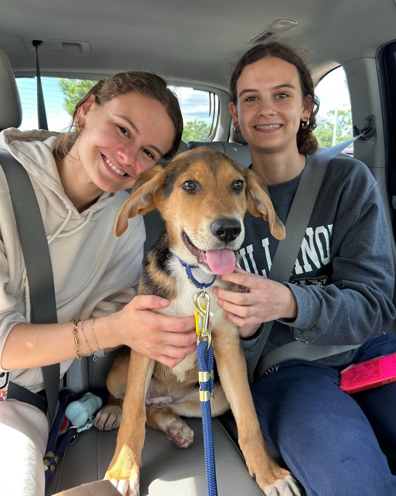 A brown and orange pup sits up happily between two smiling humans in the seat of a car.