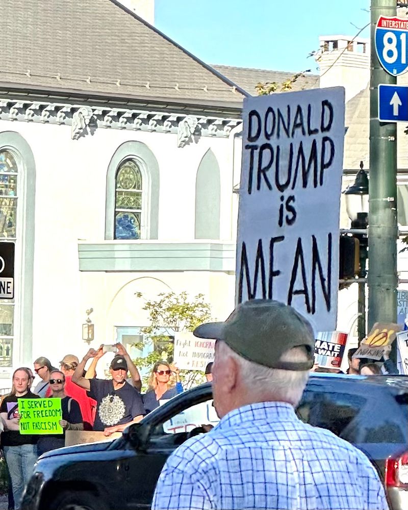 A sign reading "Donald Trump is mean"