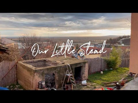 #1 Village Vlog | Removing an Old Pig Pen – Raw, Real, and Unpolished Beginnings | Part 1