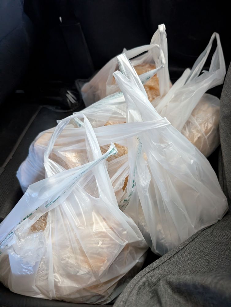 Five plastic bags filled with tamales, resting on a back passenger floor of a car.