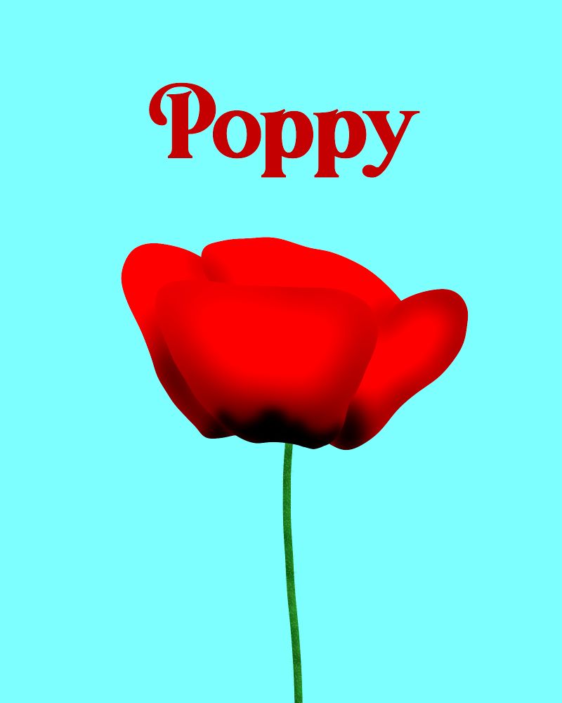 Digital drawing of a poppy on a bright blue background 