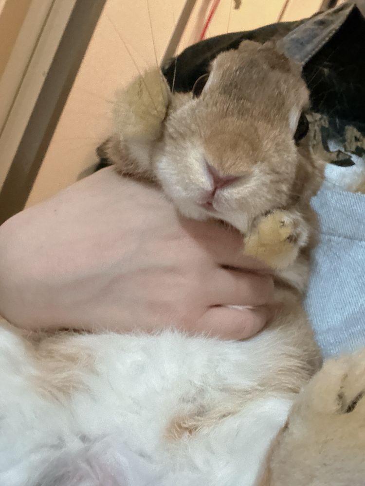 梅沢さん・通称うーちゃん