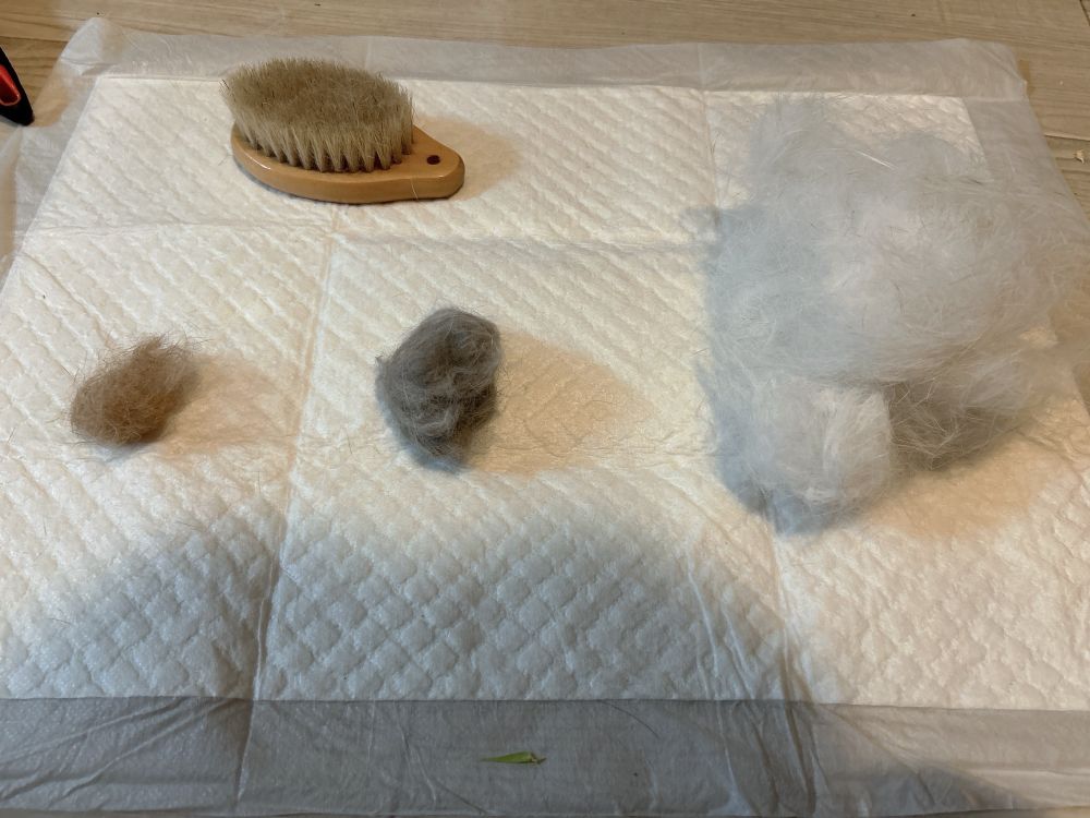 左からうーちゃん、ぴおちゃん、そるちゃんの毛です(笑)