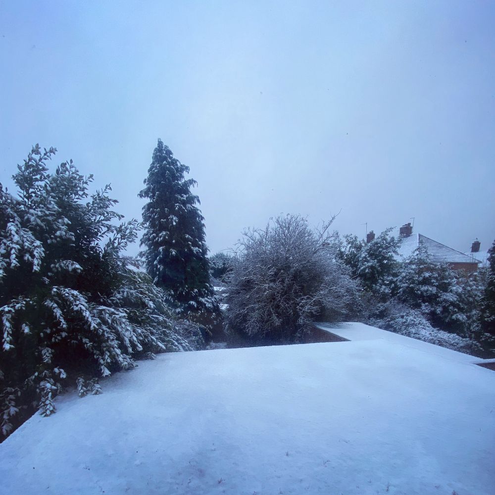 A photograph taken out of an upstairs window looking across a flat roof. There are a variety of trees surrounding the roof on three sides and some houses just visible beyond. Everything is covered in a blanket of snow 