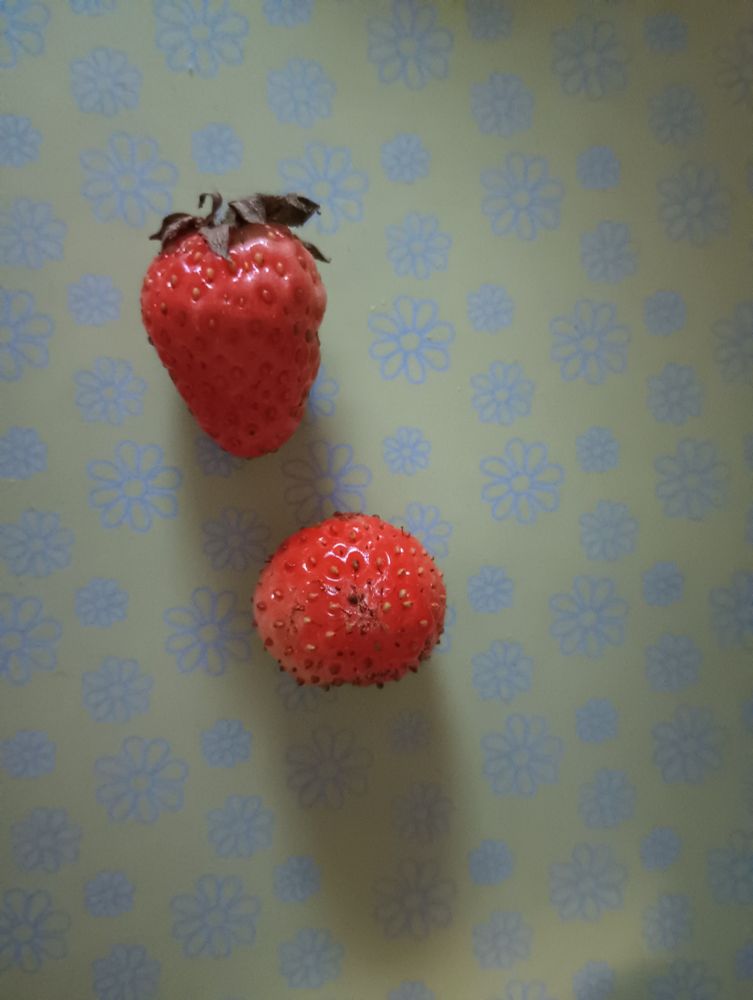 Two small strawberries against a green and blue floral patterned background 