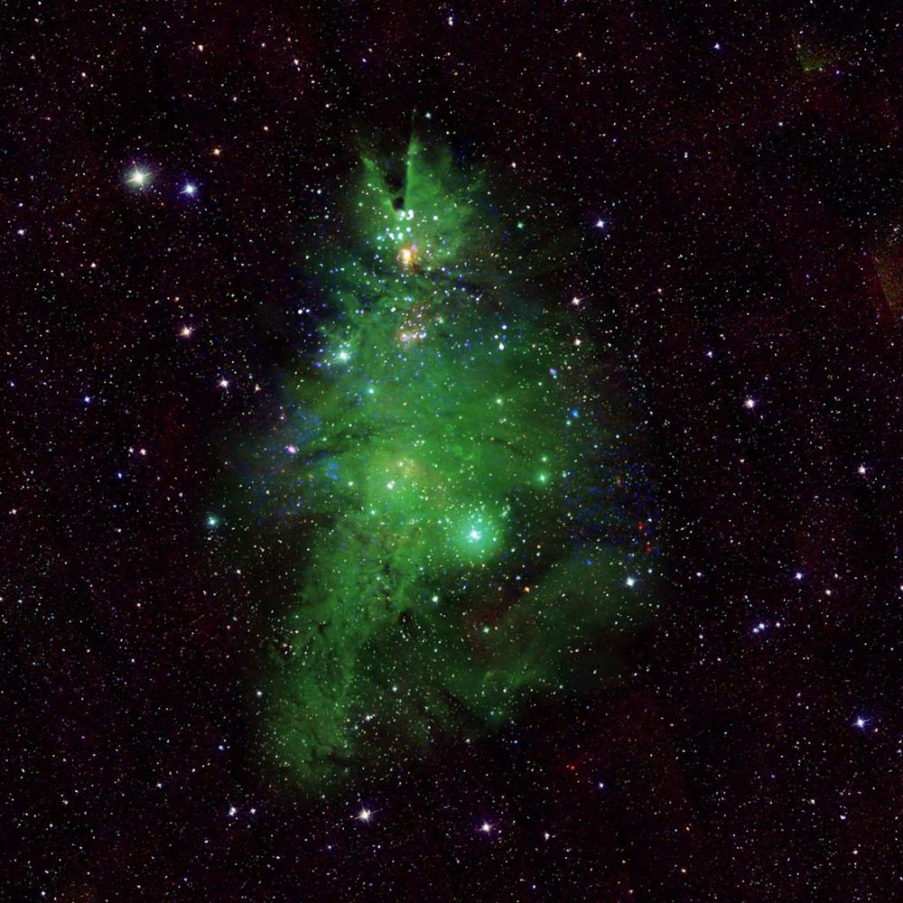 A NASA photo of NGC 2264- a cosmic tree that has been named the Christmas Tree Cluster which lives in our galaxy about 2,500 light-years from Earth. It contains baby stars that are between 1 and 5 million years old 🥺
