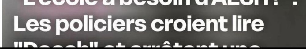 Vignette de l'article tronquée de sorte qu'on peut seulement voir :
"Les policiers croient lire"