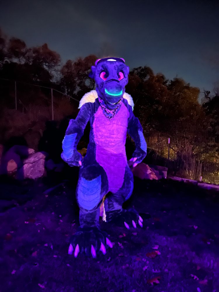 A night shot of Talon, glowing and fluorescent