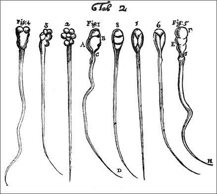 Credit: Wellcome Library.